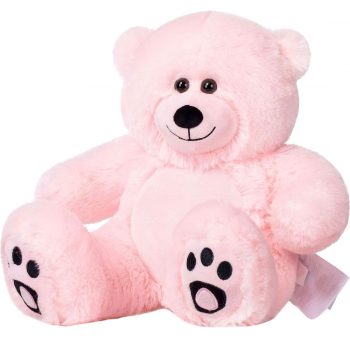 Daney teddy bear 25 pink 009