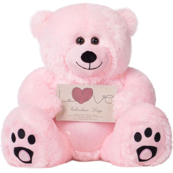 Daney teddy bear 25 pink 011