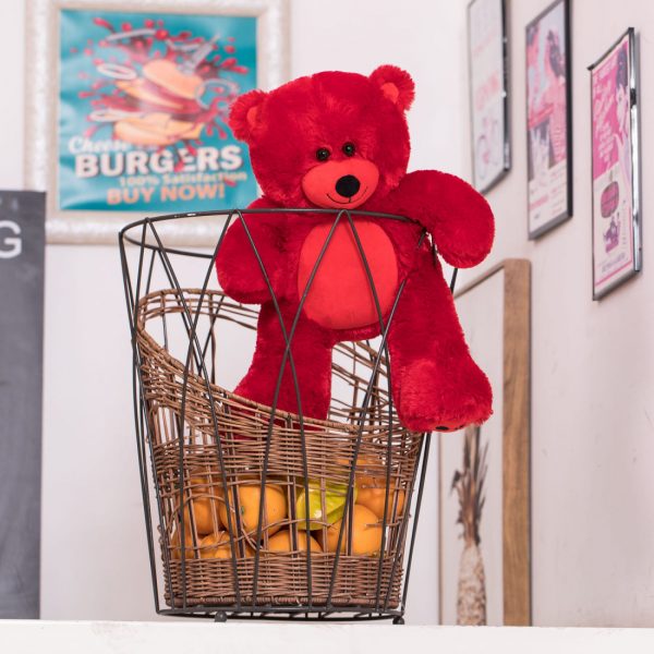 Daney teddy bear 25 red 009