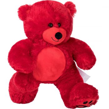 Daney teddy bear 25 red 012
