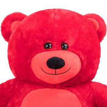 Daney teddy bear 25 red 015