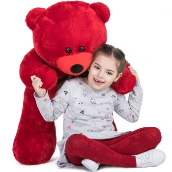 Daney teddy bear 3foot red 027