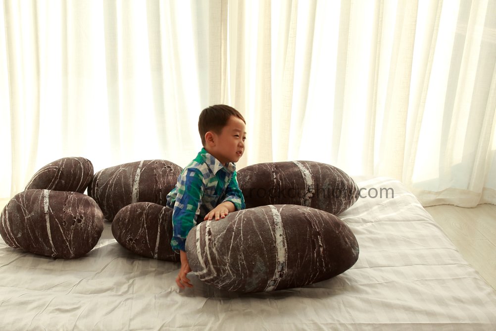 Living Rock Cushions 